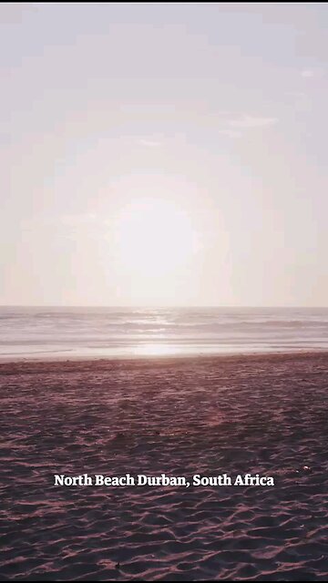 South Africa, North Beach Durban - Bring them home!