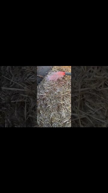 #shorts #2022 funny,prank,funjokes,dad jokes,funny memes,funny video,fun,laughing,funny animal,knock