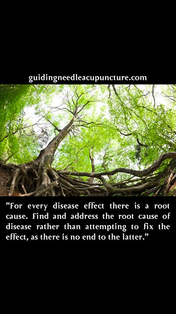 strengthening wellness