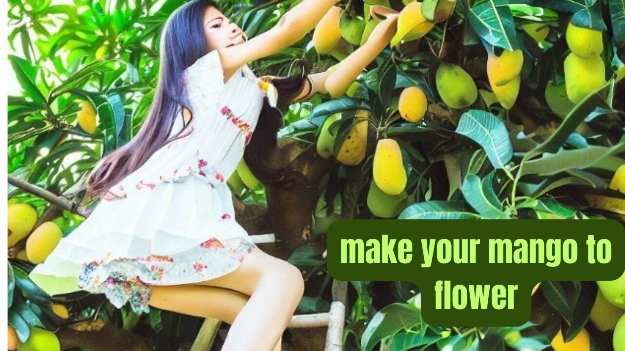 Aid your mango to bloom more flower