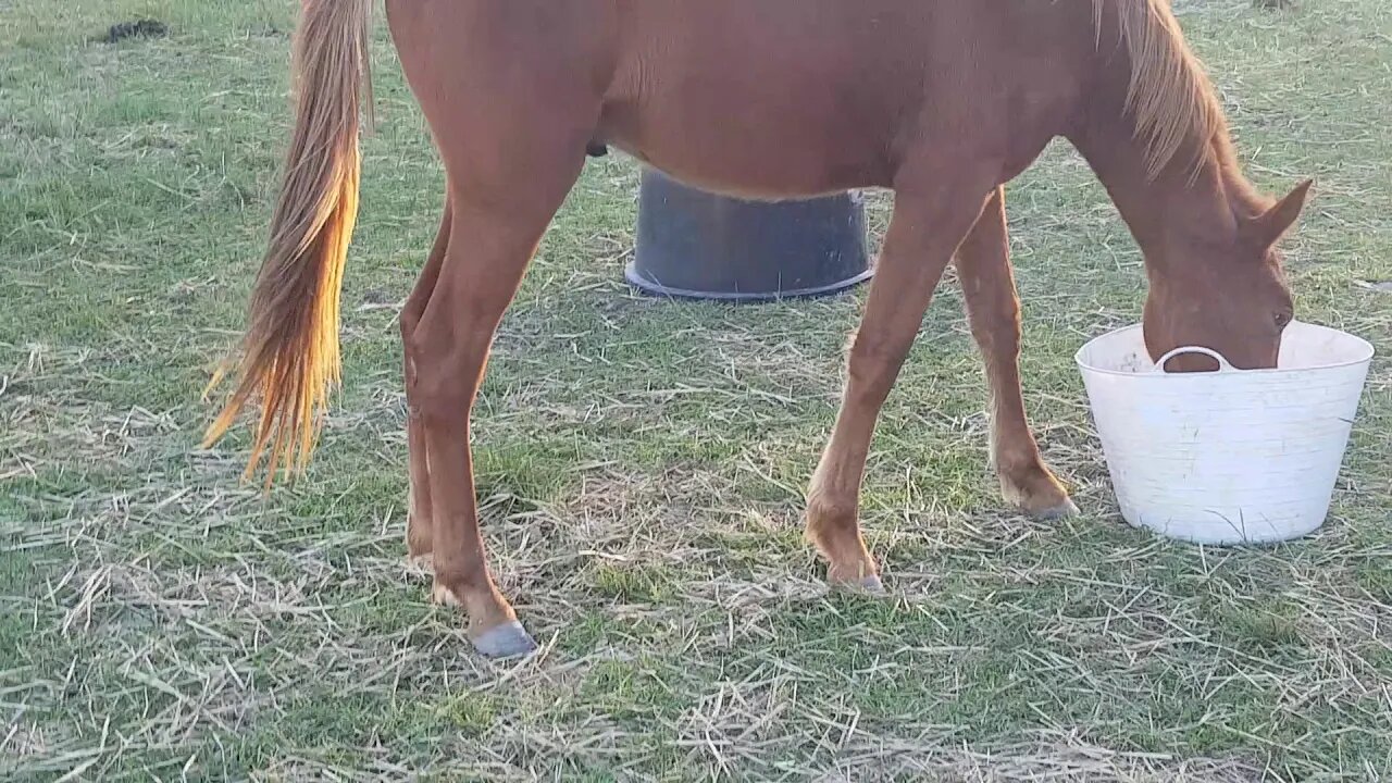 Banjo day two Mar 28 2018