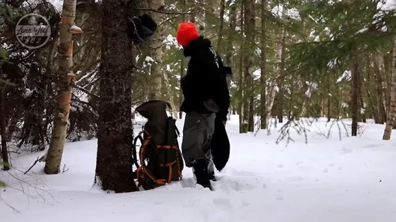 Camp in a hammock in winter 3