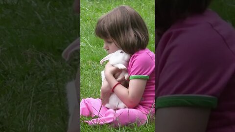 Children's love cute Pet rabbit || funny cute cats || #Shorts