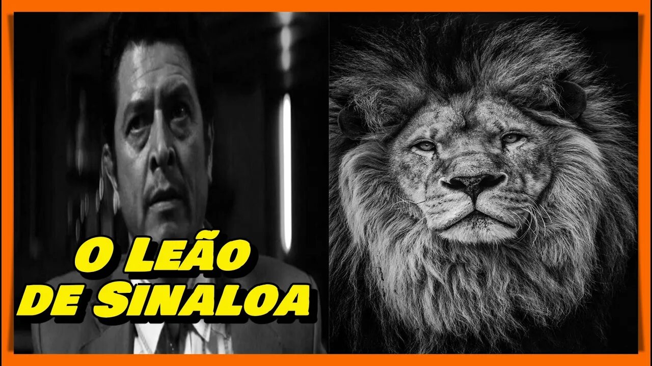 PEDRO AVILÉS PÉREZ "EL LEÓN DE LA SIERRA" - HISTÓRIA DO PRIMEIRO GRANDE NARCOTRAFICANTE DO MÉXICANO!