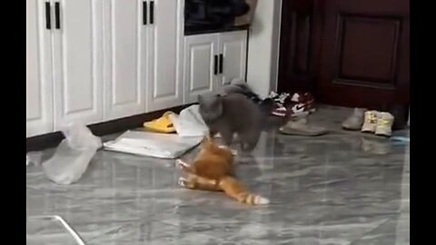 Evasion mode activated