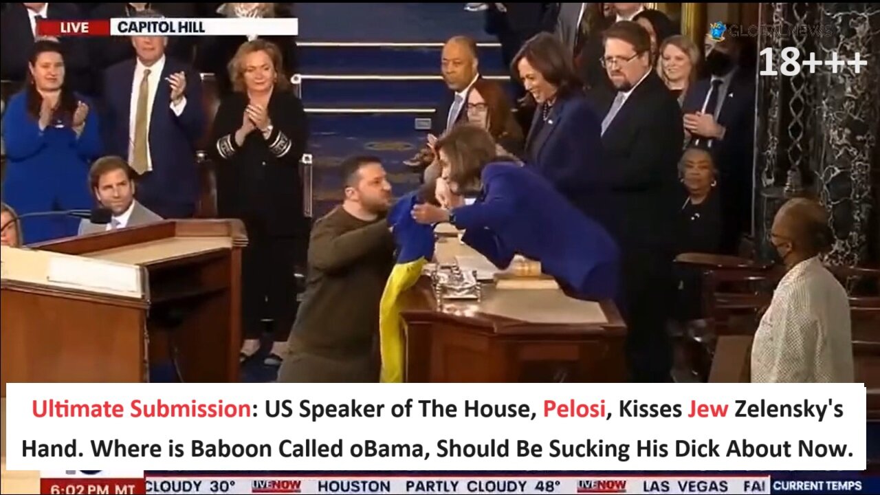 Ultimate Submission: US Speaker of The House, Pelosi, Kisses Jew Zelensky's Hand. Where is Baboon Called oBama, Should Be Sucking His Dick About Now.