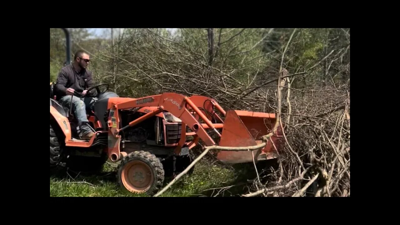 Our Work Week| Carving Out Our Homestead Even In The Worst of Times