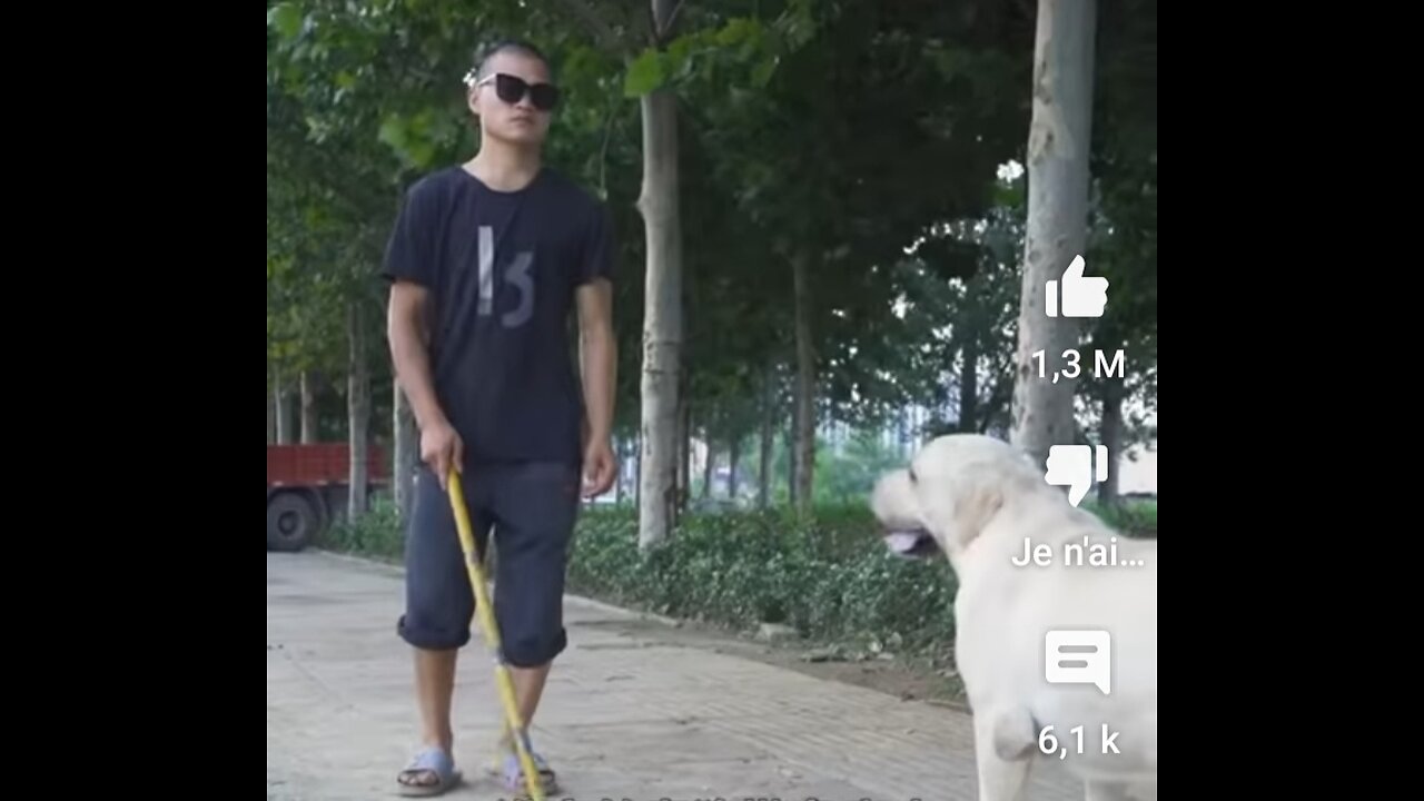 DOG SAVE BLIND MAN LIFE. #SHOTS #DOGSAVE #YOUTUBESHOTS