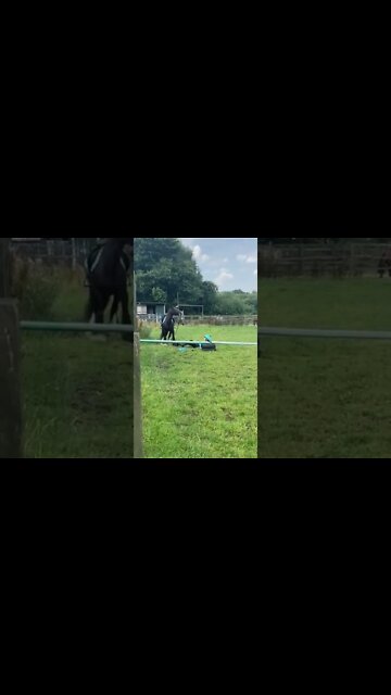 Woman Slides Off Horse! #MegaFails #Shorts