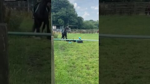 Woman Slides Off Horse! #MegaFails #Shorts