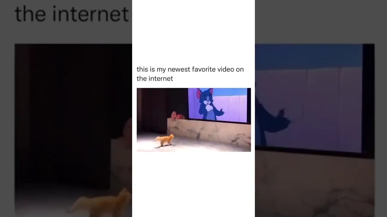 Tom & Jerry- The Cats Run in same way!! (funny vedio)🤣🤣 #shorts #tomandjerry