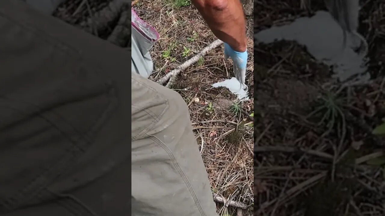 Bigfoot Print Casting #short