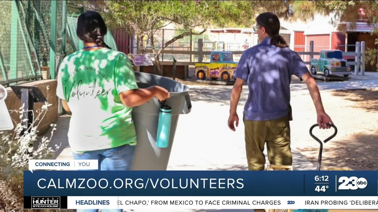 CALM Zoo recruiting new volunteers