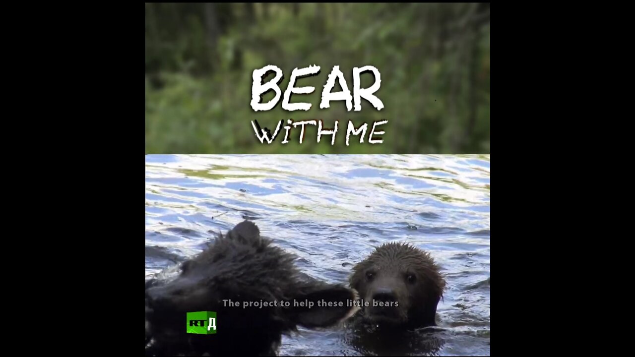 Bear with Me