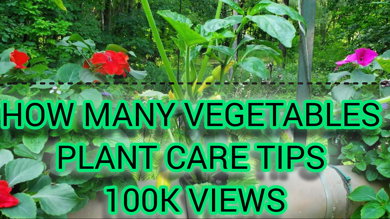 HOW MANY PLANT CARE INDOOR PLANTSGOǴGA