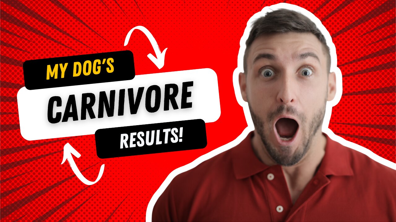 I put my dog on a carnivore diet and you wont believe the results
