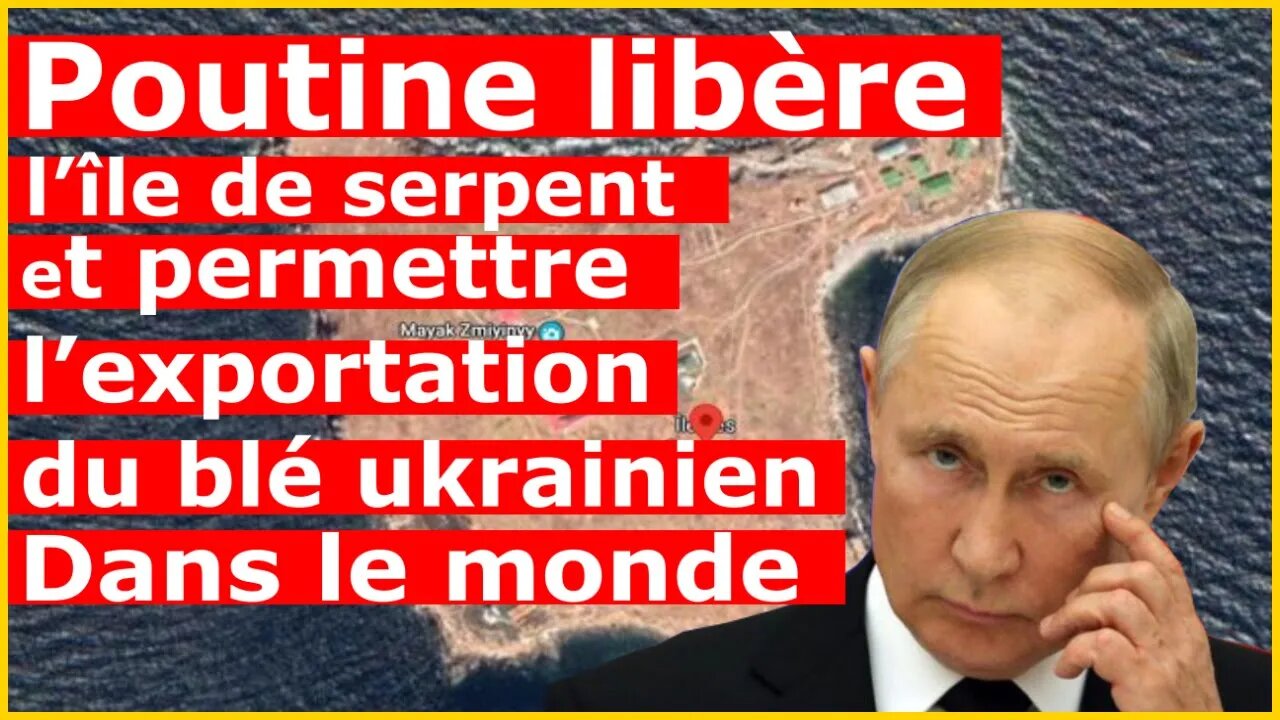 🔴⚡La tête de Poutine travaille: La libération de la l'île de serpents va aider le monde