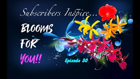 SUBSCRIBERS INSPIRE| You color my life | Blooms for YOU! Episode 30 🌸🌺🌼💐 #orchidsinbloom