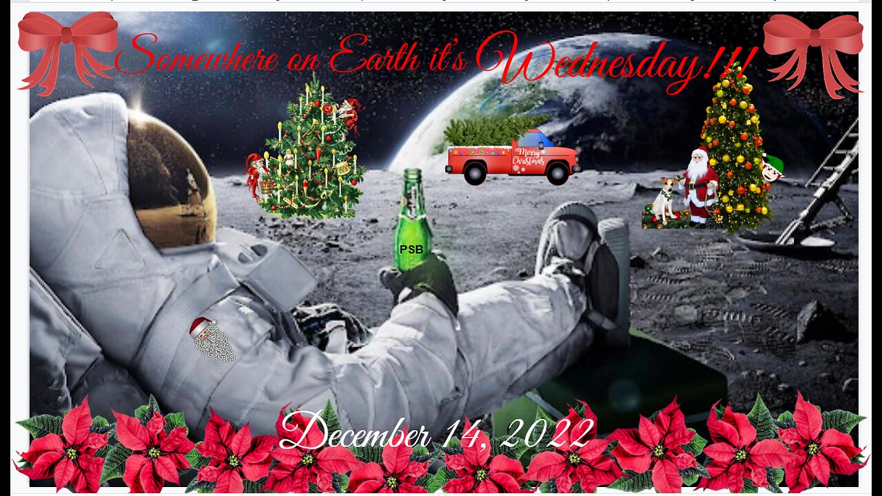 You Don't Say Gang Dec 14,2022