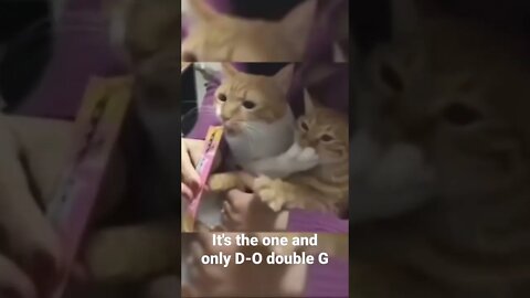 It's the one and only D-O double G #shorts