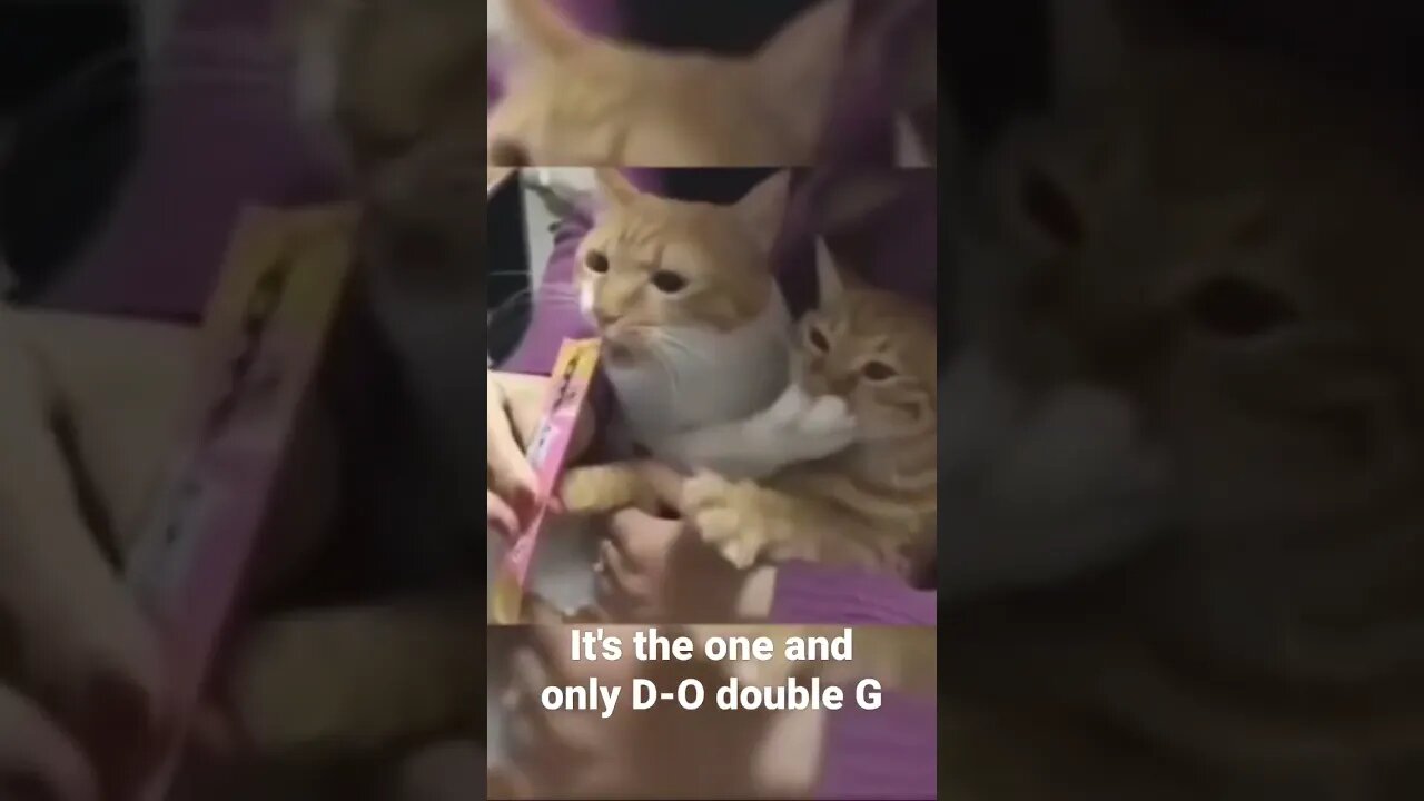 It's the one and only D-O double G #shorts