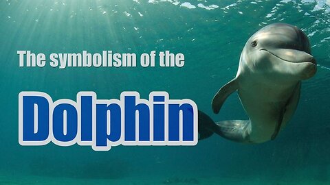 The symbolism of the Dolphin