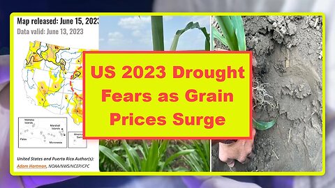 US 2023 Drought Fears as Grain Prices Surge