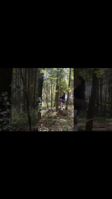 Workout | #gymode #shorts #shortsfeed