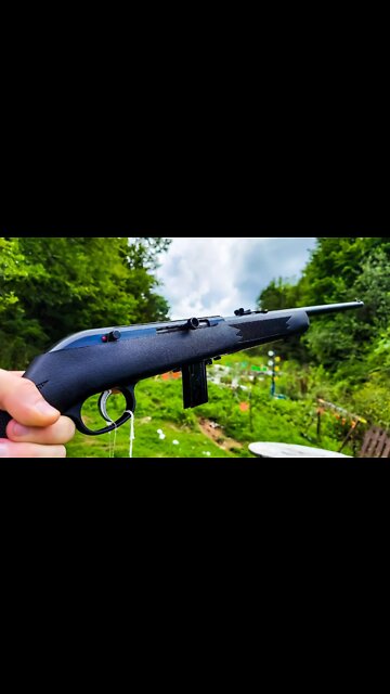 Best Budget 22lr Plinker? - Very Accurate #shorts