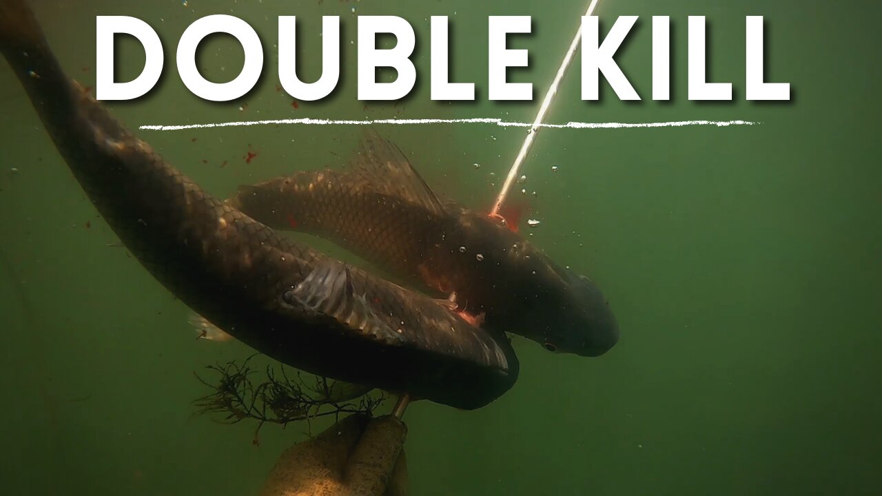 DOUBLE KILL NA PESCA SUB