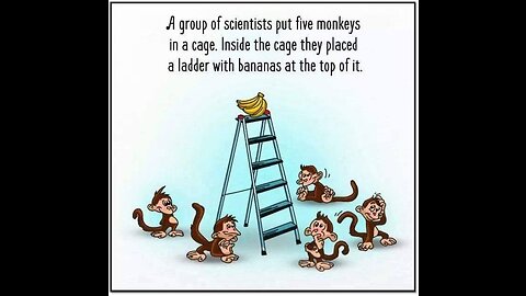 Lessons for Change and Innovation - Unveiling the Five Monkeys Experiment