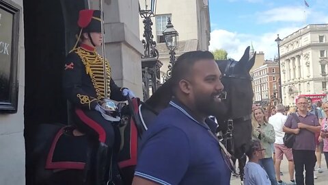Horse wiggles his nose #horseguardsparade #kingstroop