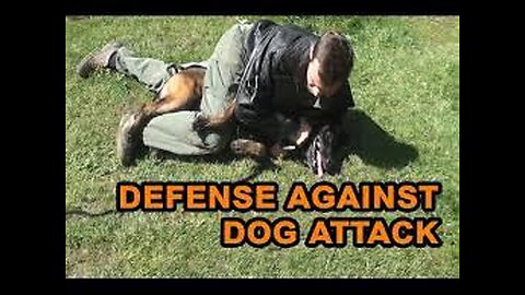 How to defend against a dog. Self defense against dog attack