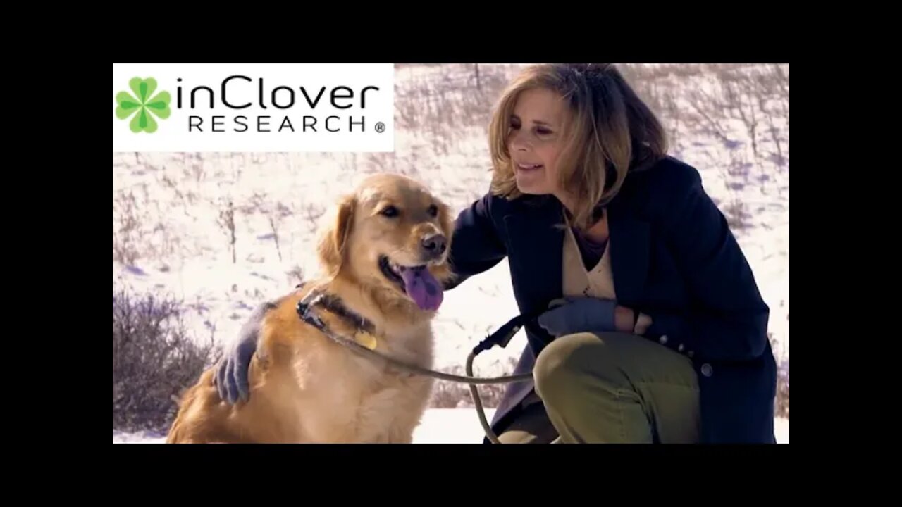 Interview with Rebecca Rose of inClover Research