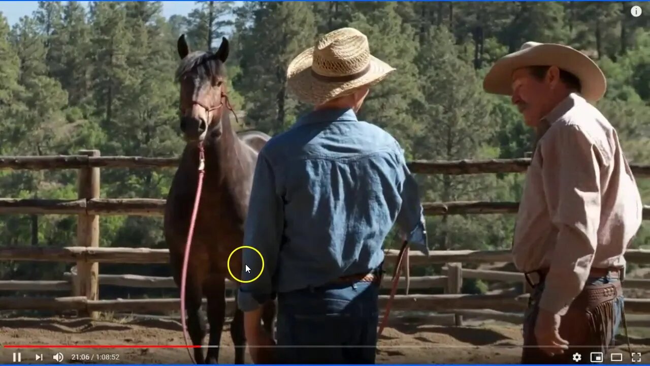 Parelli Works With Spooky Horse & Green Owner With No Experience Who Saved A Mustang - Part 4 of 6