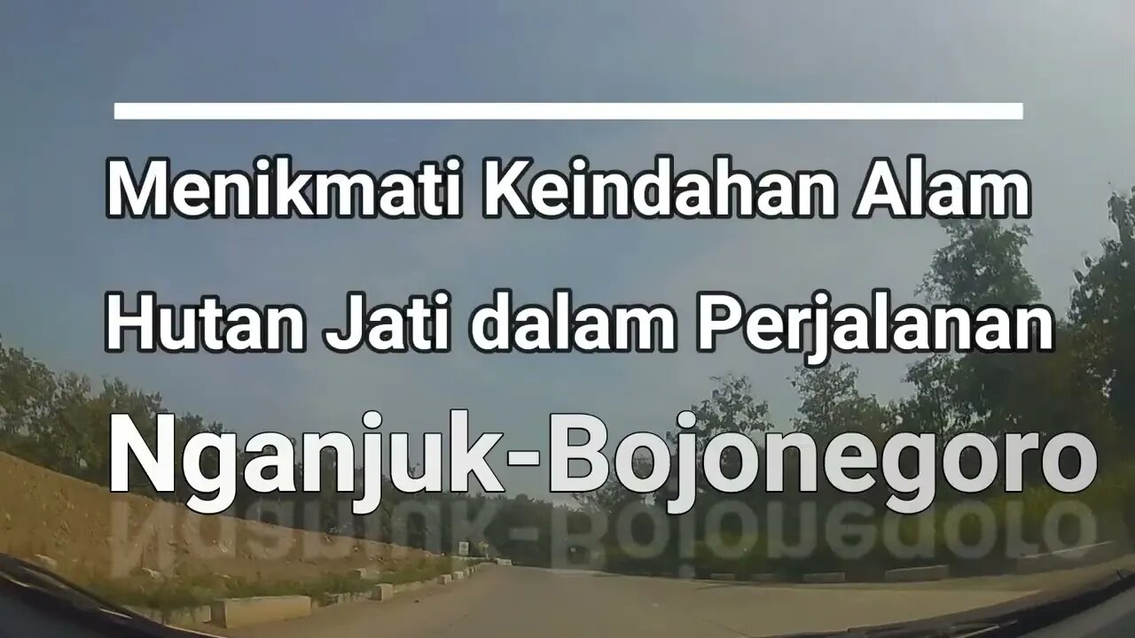 Menikmati Keindahan Alam Hutan Jati Dalam Perjalanan Nganjuk Bojonegoro