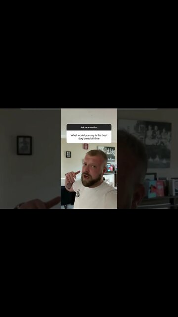 What's The Best Dog Breed? 🐕 #Shorts #rottweiler #dogs