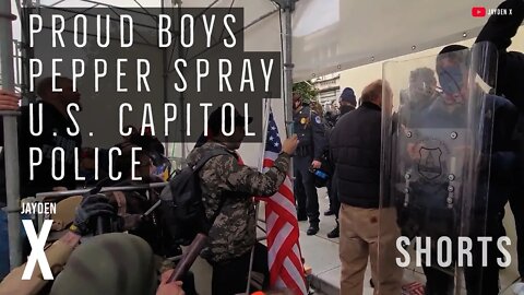 Robert Geswine Pepper Spray's The United States Capitol Police