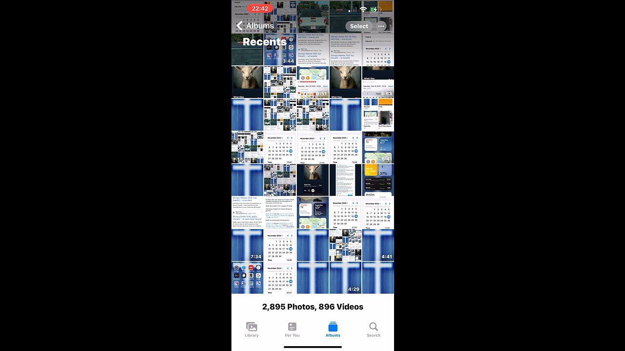 ❤️☎️🦁❤️🦁☎️❤️