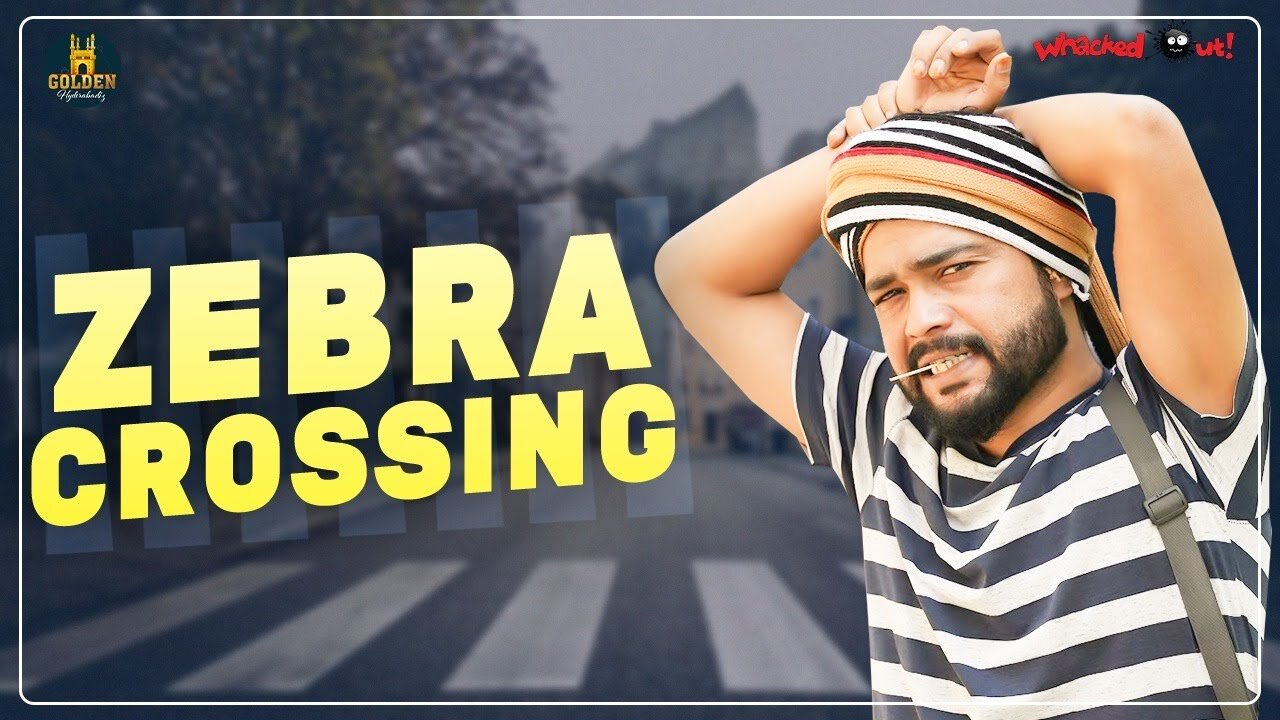 Zebra Crossing | Funny Video 🤣