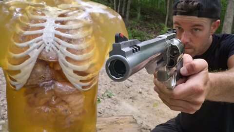 500 MAGNUM vs HUMAN TORSO!!! (Biden's Lung Theory)