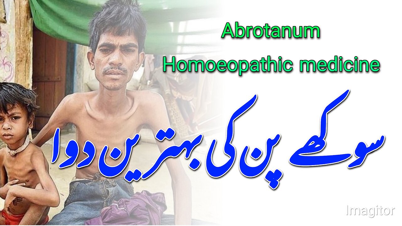 Abrotanum Homoeopathic medicine | symptoms | How to use | by Dr Muhammad Faheem