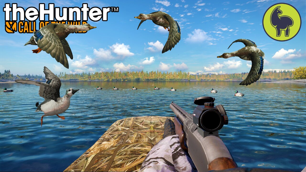 A Rare Sight (mallard edition) Hunt Club Beta | theHunter: Call of the Wild (PS5 4K 60FPS)