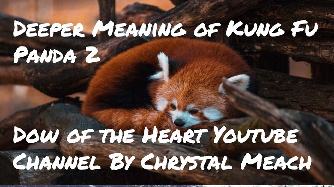 Deeper Meaning of Kung Fu Panda 2