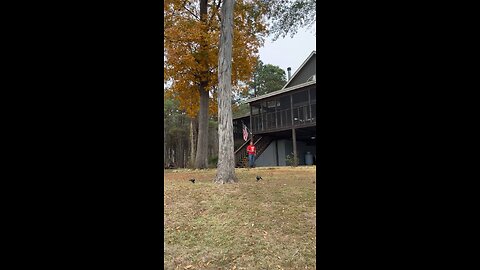 My family’s Alabama lake house ❤️