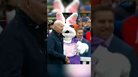 Some bunny 🐰 needs to tell Joe what’s going on 🍳🥚