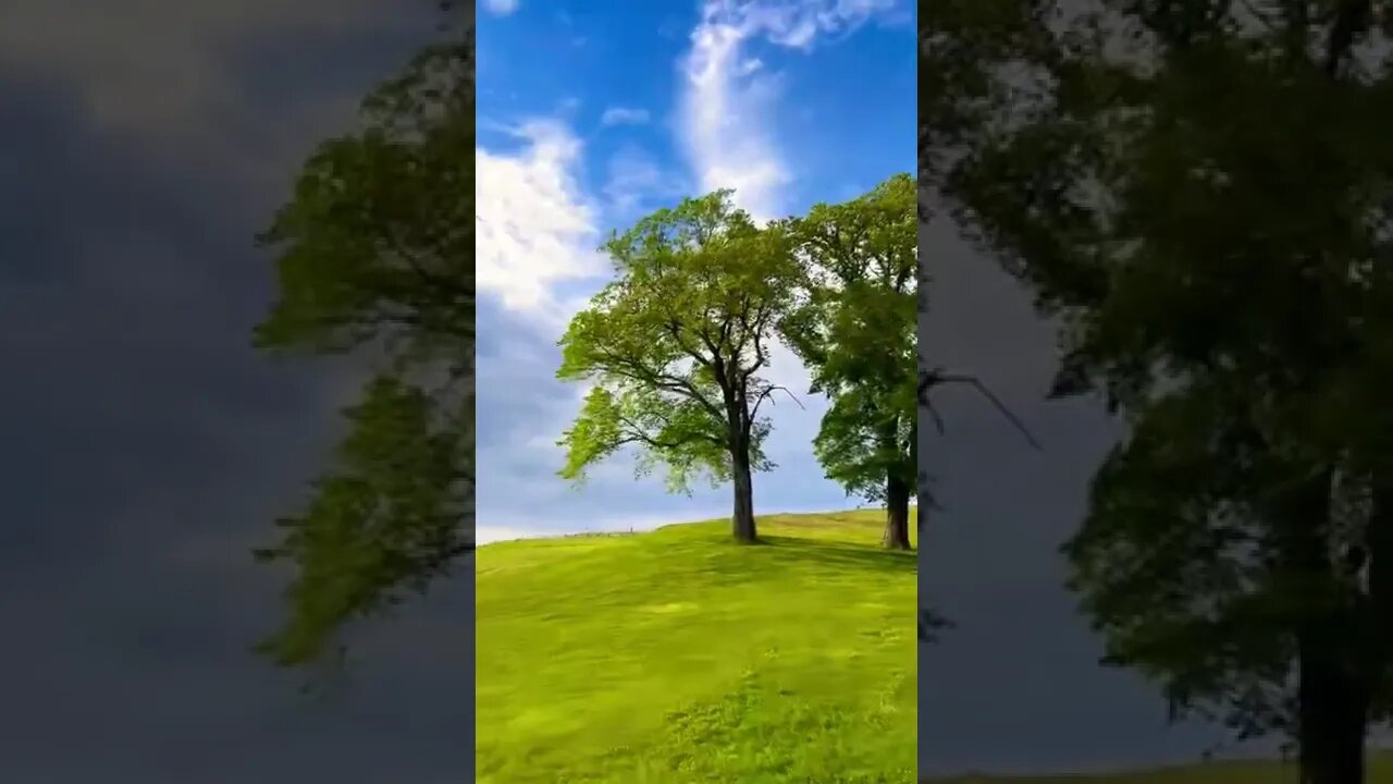 Beautiful day in Halifax