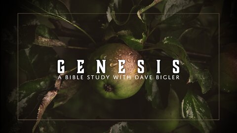 Genesis 2 Bible Study - Creation, Eden, Marriage & Sex!