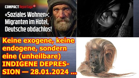 Keine exogene, keine endogene, sondern eine (unheilbare) INDIGENE DEPRESSION — 28.01.2024 ...