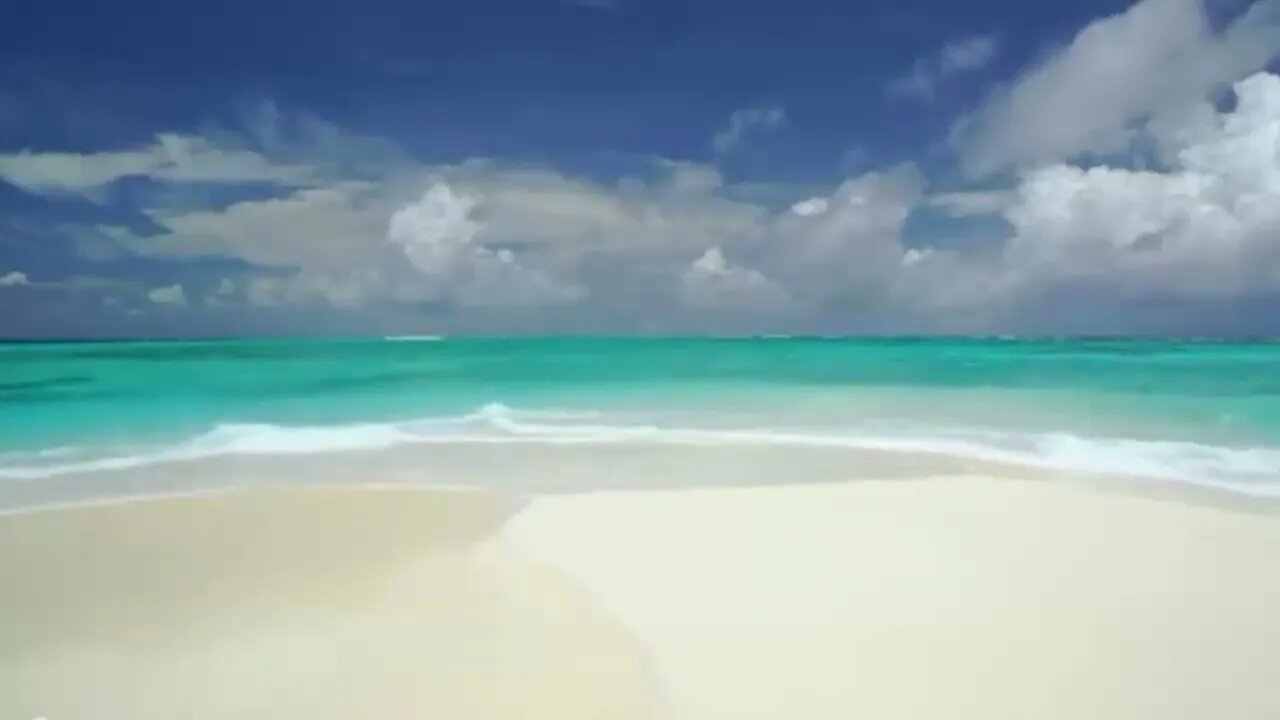 Surf's Up Riding Waves and Soaking in Coastal Bliss